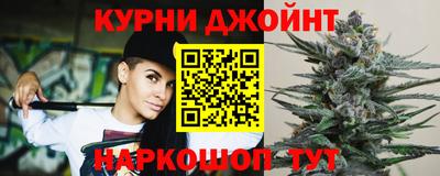 a pvp Новодвинск