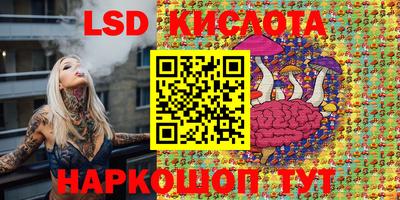 a pvp Новодвинск