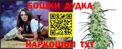 a pvp Новодвинск