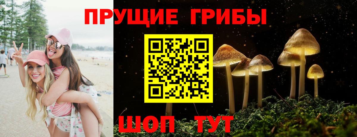 Хасавюрт  Псилоцибиновые грибы мухоморы  Вход с VPN 